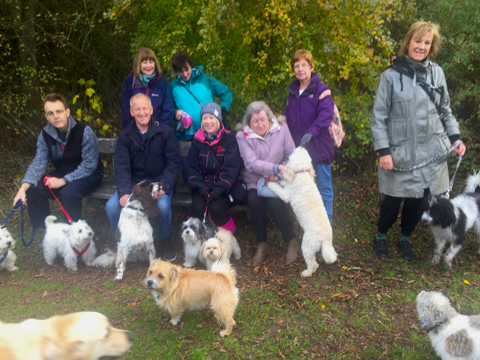 Walking Group - Enfield Chace Dog Training